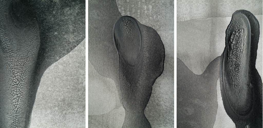 19-photography-digital-Serie1-triptyque